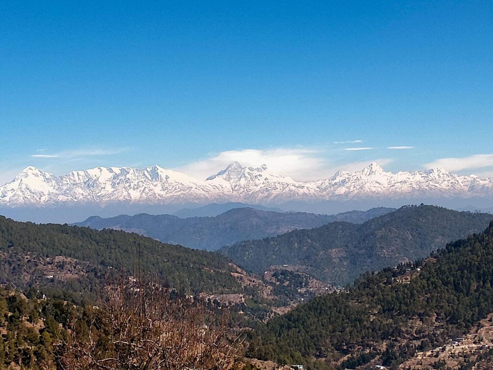 The Pahadi Nest Mukteshwar 호텔 외부 사진